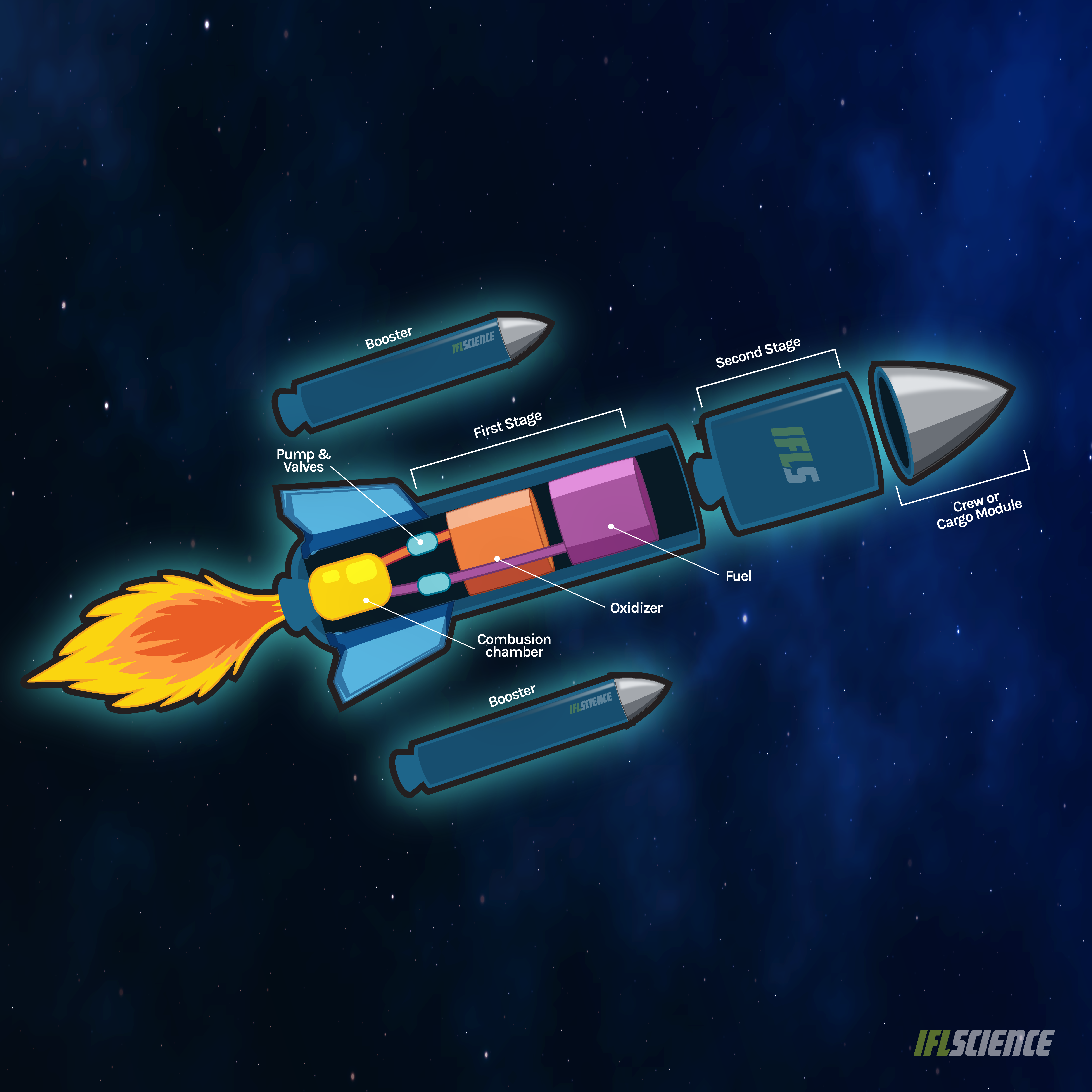 A helpful schematic that shows which bits of a rocket are which, with the crew or cargo capsule at the pointy end and the boosters on the side .